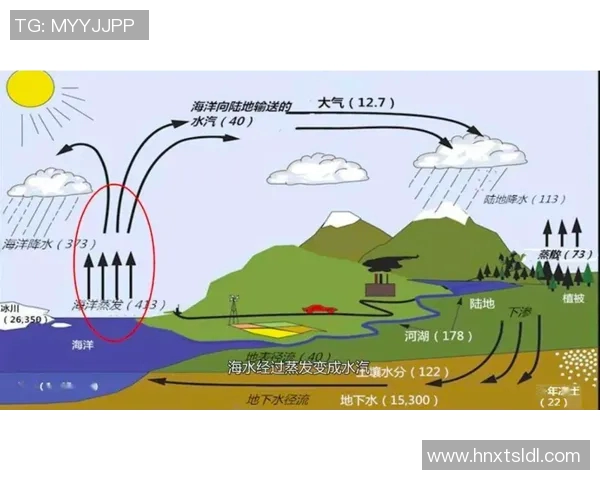 全球气候变化加剧引发极端天气频发，专家呼吁加强国际合作应对环境危机